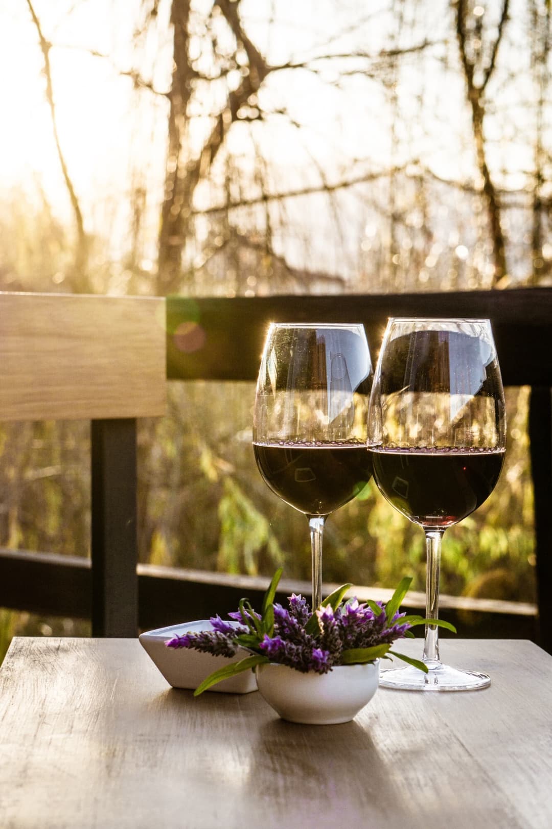Degustaciones de Vino
